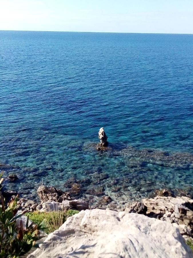 Tala Hills Sea View Apartment Pafos Dış mekan fotoğraf